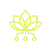pollinations.ai icon